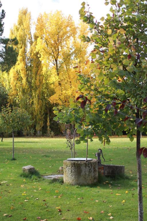 El Jardin De La Huerta Hotel Sahagún Екстериор снимка